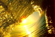 learn to surf in Durban.